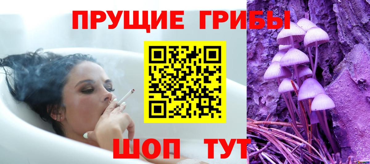 Псилоцибиновые грибы Magic Shrooms  купить закладку  Комсомольск-на-Амуре  Вход с VPN 