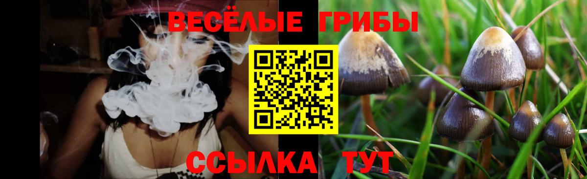 Псилоцибиновые грибы прущие грибы Комсомольск-на-Амуре